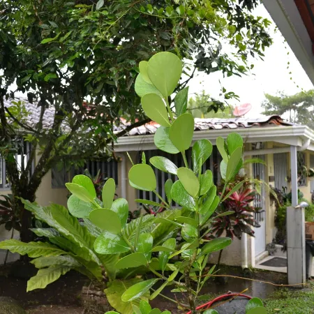 Casa Sophia