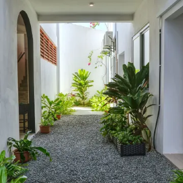 Island Ambience