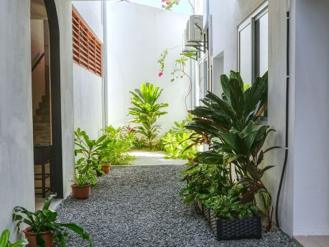 Island Ambience