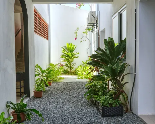 Island Ambience Hotels in Maafushi