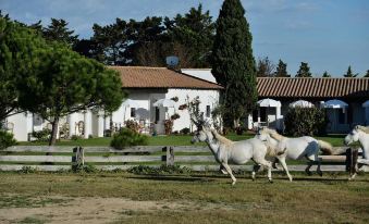 Mas de la Grenouillère Hôtel et Centre équestre en Pleine Nature