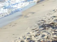 Bungalow 80 m from Nabeul beach