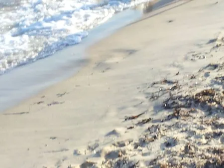 Bungalow 80 m from Nabeul beach