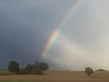 Sauna, hot bathe, enjoy, bien-être, feel good
