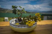 Casa dos Mochinhos - Your home in the Douro