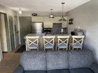 Schweitzer Mountain View Condo