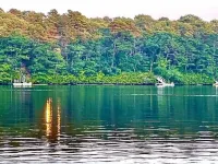 Cape Cod Retreat. Near Beaches and Amazing Pond