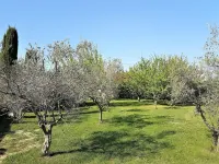 Mas aux oliviers residential area on the heights of st Rémy, quiet location