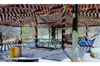 Star Gazing 3-Bedroom Cabin