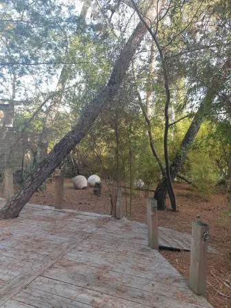 Cabane Ferret Capienne, 5-minute walk from the lake or ocean