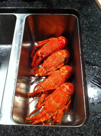 Spacious Quiet | 3BR | Decks | Wi-Fi | BBQ | Views Отели рядом с достопримечательностью «Point Kean Viewpoint»