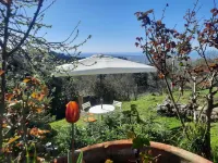 Pink house in Versilia hills with garden and holistic massage service