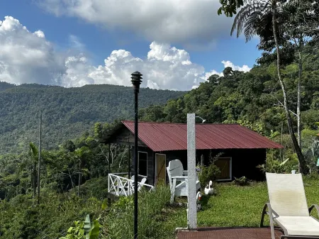 Vista Paraíso Lodge #1 Отели в г. Перес Селедон