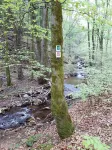 Beautiful, bright apartment right on the rocky hiking trail