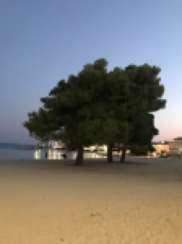 The Villa "Riviera" large and spacious with beautiful veranda and green garden