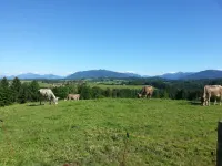 Cozy apartment, with Königscard centrally located in the Ammergau Alps Hotels in Bad Bayersoien