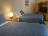 Relaxed And Spacious Studio 2343