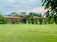 Spacious and comfortable house surrounded by nature