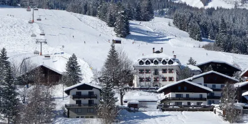 Aparthotel Ansitz Felsenheim