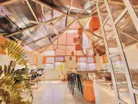 Perro Surfero Hotel Boutique - Todos Santos, Bcs