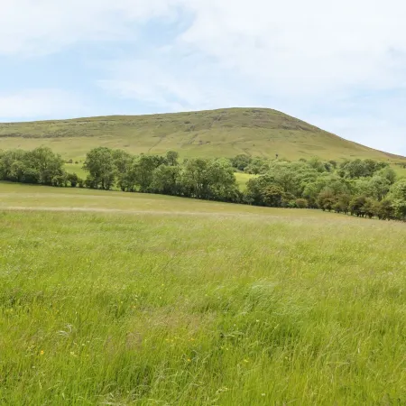 Dingle Den Отели рядом с достопримечательностью «Херефордский собор»