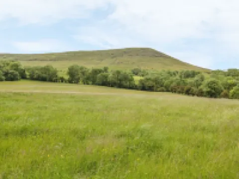 Dingle Den