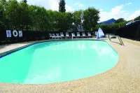 Alpine Trail Ridge Inn - Pool