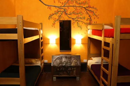 Kaclla, the Healing Dog Hostel