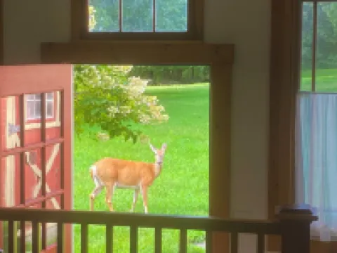 HollyKissHudsonValley Grand Suite in 1900 Renovated Lodge