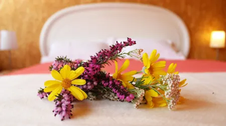 LaranjaLimão Отели в г. Понти-ди-Лима