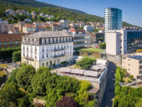 Hôtel Alpes & Lac Hotels in Neuenburg