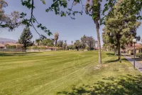 Summer Desert Oasis! Pool, Patio & Fast Wifi - Apartments