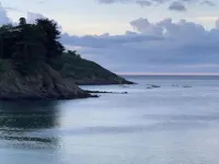 Ajonc, Bord DE MER ET Cote Sauvage