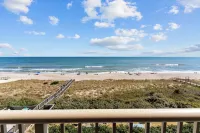 Pelican Watch #906 - Ocean View