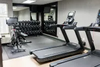 Hampton Inn & Suites Leesburg - Træningscentre