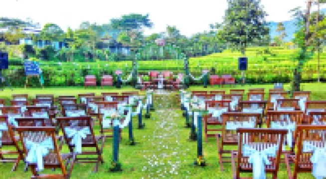 Tea Garden Resort