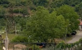 GreenWood Merisi