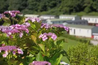 Whidbey Luxury Apartment Hotels in Newton and Noss