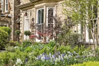 Glendon Bed and Breakfast - Wifi