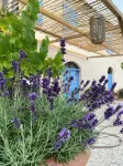 Lussuosa villa privata autentica con piscina privata