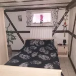 Basement apartment close to the center of Colmar, with private garden.