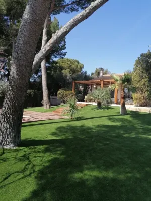 Un Petit Coin de Paradis