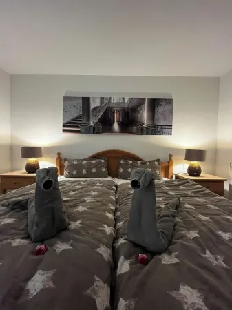 Newly renovated basement apartment