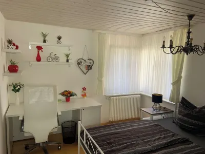 Apartment Sulzbachtal, near Europapark/Rulantica, Black Forest, Feldberg Hotels near Storchenturm