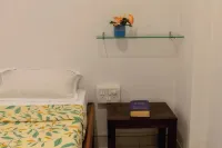 The Chickoo Tree by the Sea