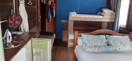 Fernando de Noronha Manager Escoses.dolphin Researcher