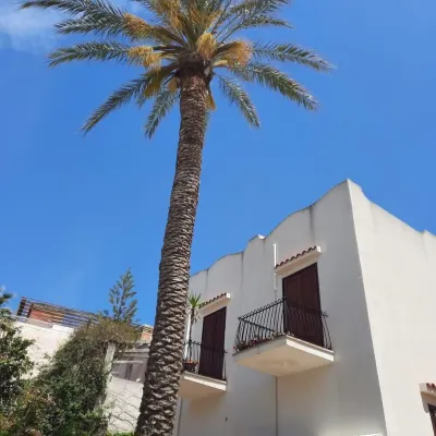 House LA PALMA SELINUNTE CASTELVETRANO, SEA HOUSE Hotels in Marinella