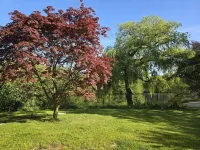 Unique "Seeblick" vacation apartment located directly on the lake Hotels in Metelen