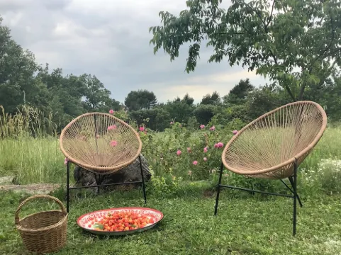 Charming country house, all comforts, pets welcome, 3 km from Ménerbes. Hotels in Menerbes