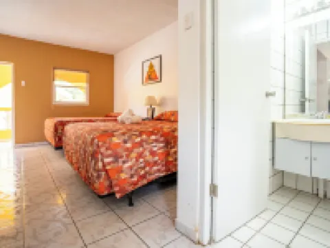 椰子酒店 棕櫚灘酒店